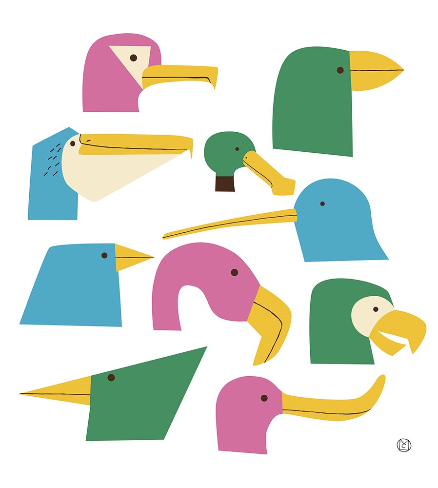 mikel casal ilustraciones EVOLUCION CONVERGENTE