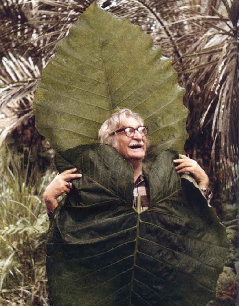 retrato de la exposición Brazilian Modern: The Living Art of Roberto Burle Marx en el New York Botanical Garden