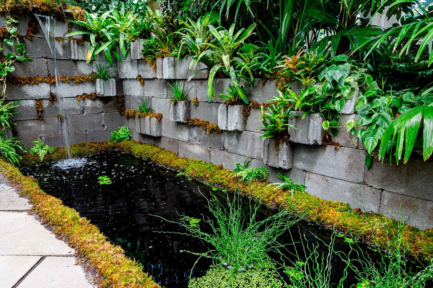 piscina con fauna salvaje local brasileña en la exposición Brazilian Modern: The Living Art of Roberto Burle Marx en el New York Botanical Garden