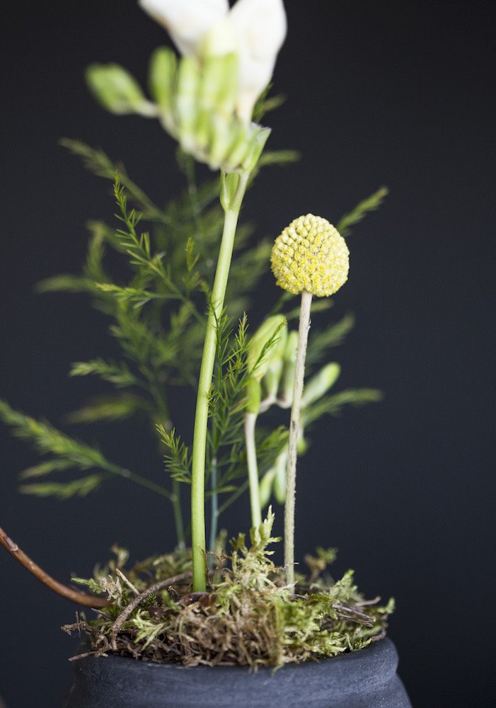 Arreglos florales ikebana hotel nobu Robert de Niro Barcelona