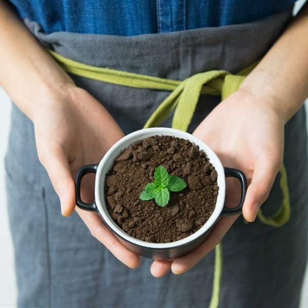 Biopack: el envase de semilla que puedes plantar
