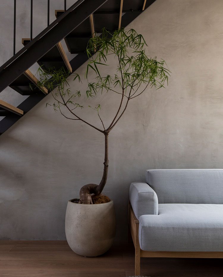 Hueco bajo la escalera con macetero crudo junto a sofá gris y estructura de madera
