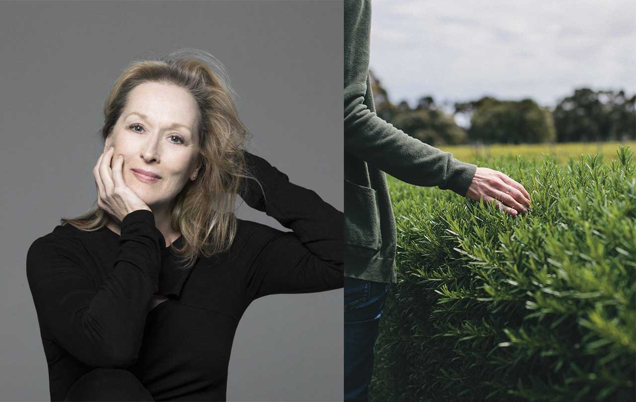 Meryl Streep pesticidas agricolas