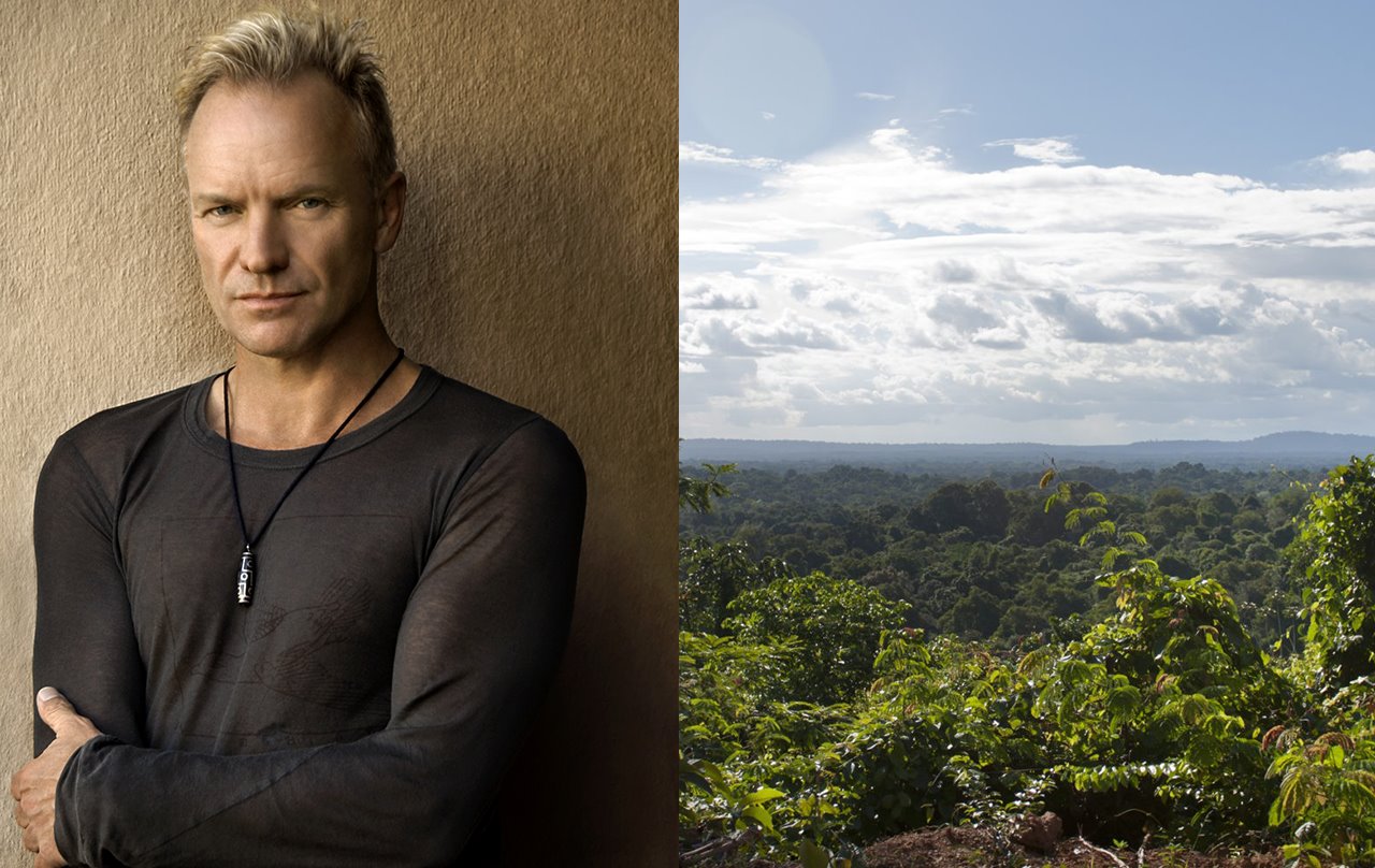 Sting Rainforest foundation