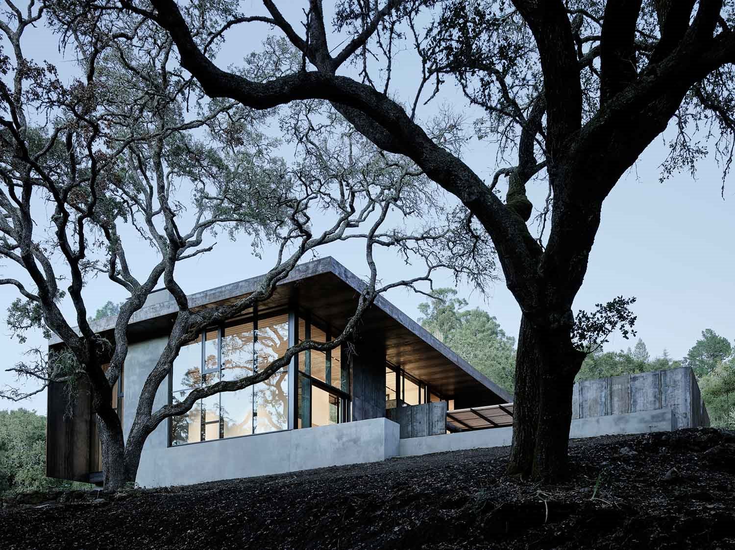 la-csa-Miner-road-junto-al-arbol-de-Faulkner-Architects