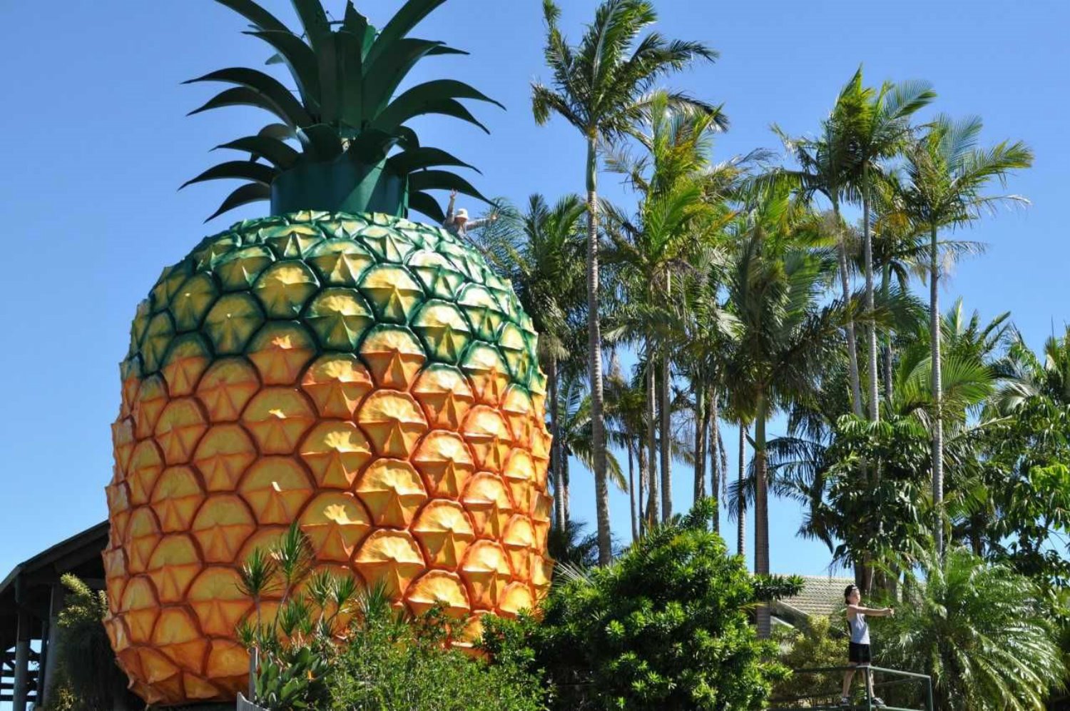 Big Pineapple en Australia de Peddle Thorp and Harvey, Paul Luff y Gary Smallcombe and Associates