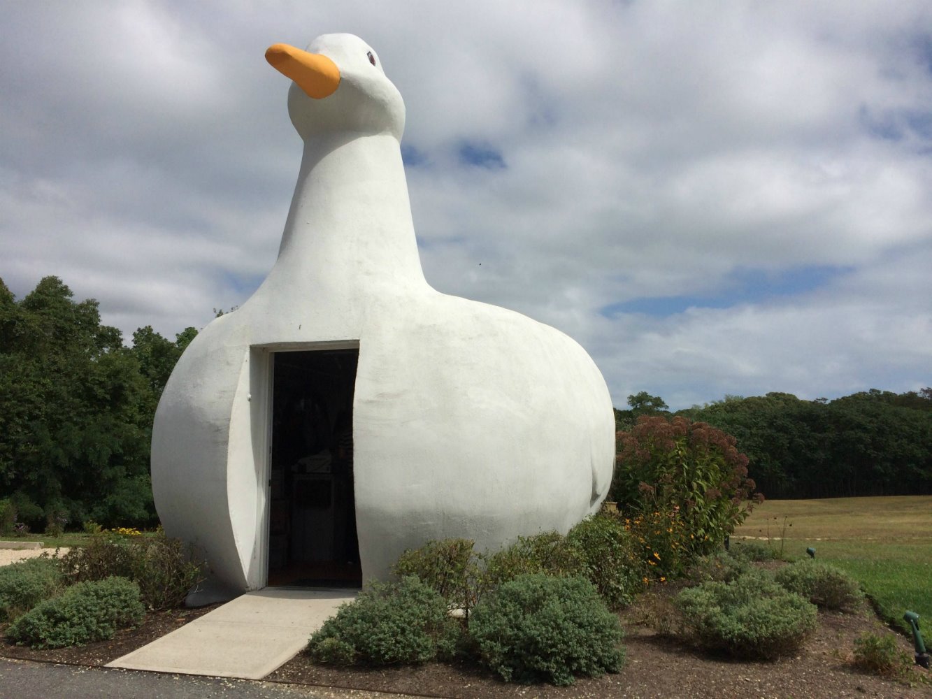 The Big Duck en Long Island de Martin Maurer