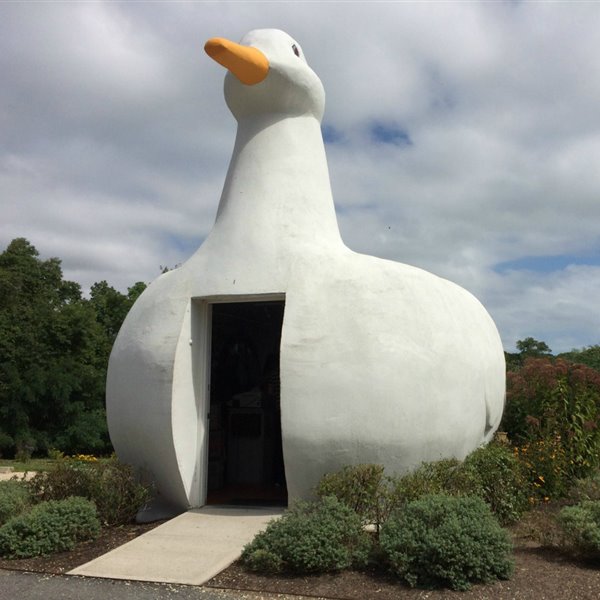 The Big Duck en Long Island de Martin Maurer