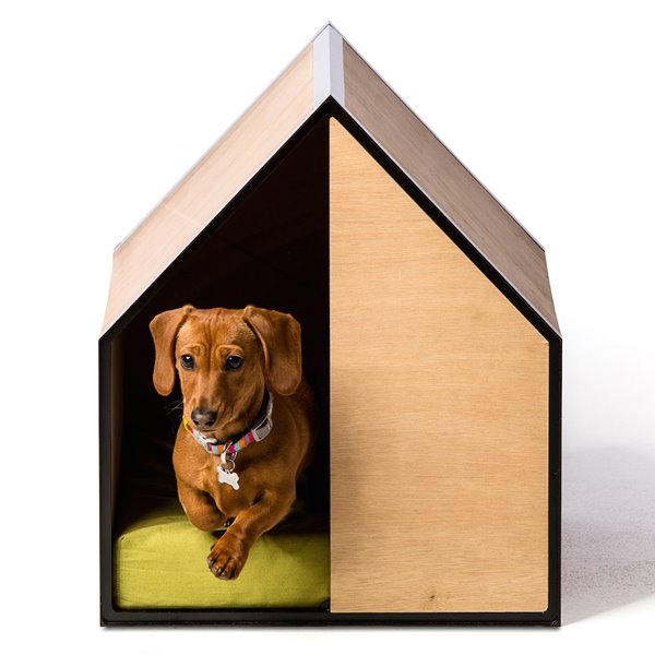 Celebra el día de los animales regalándole una casa de diseño a tu mascota
