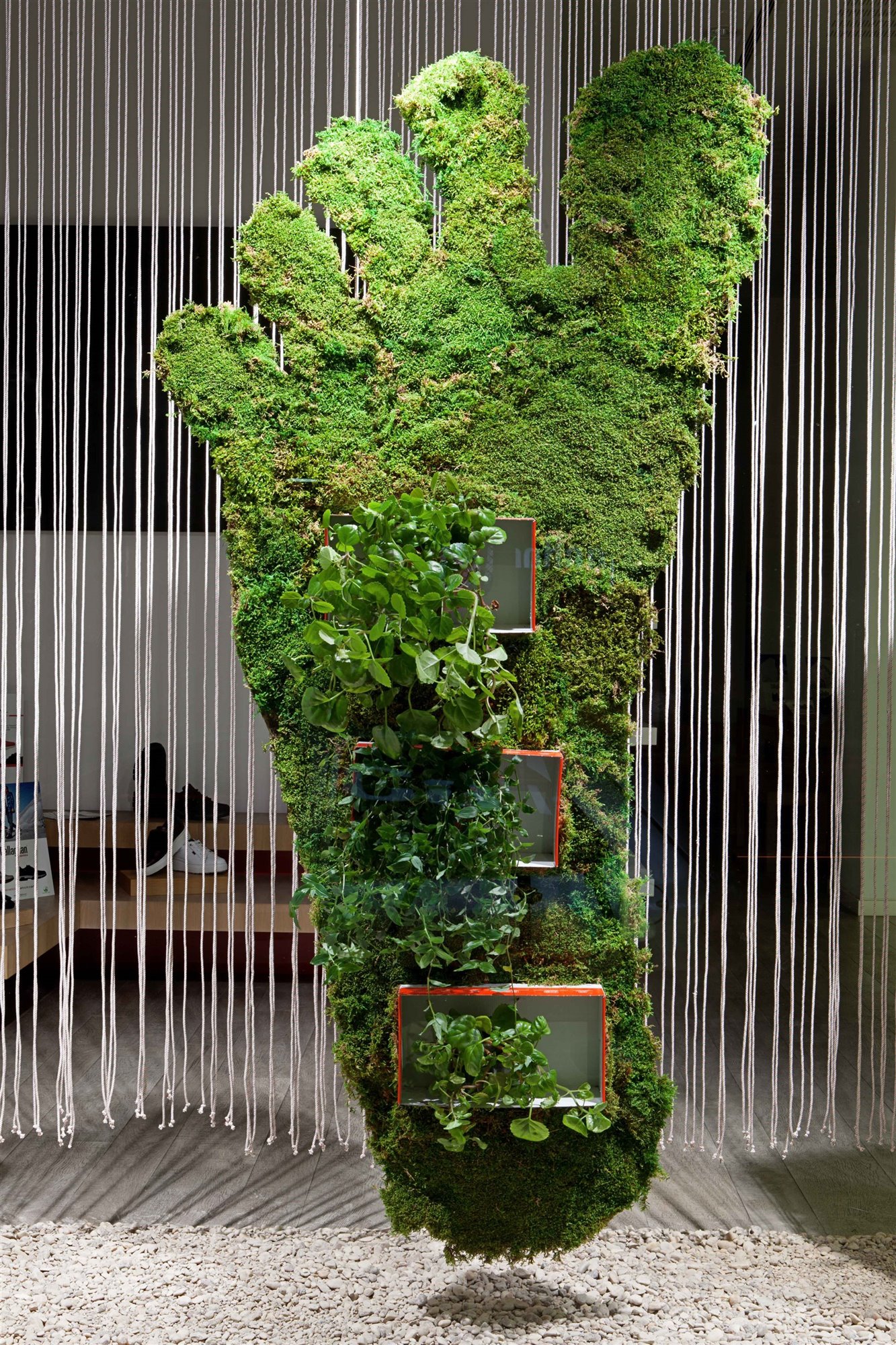 La Planta de Palomawww en Callaghan festival lovisual Logroño
