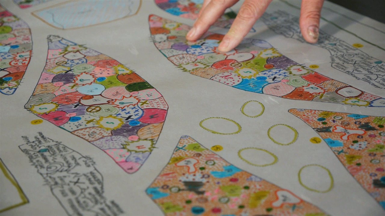 Cada vez que empieza un trabajo, dibuja un mapa del jardín que va a proyectar. 