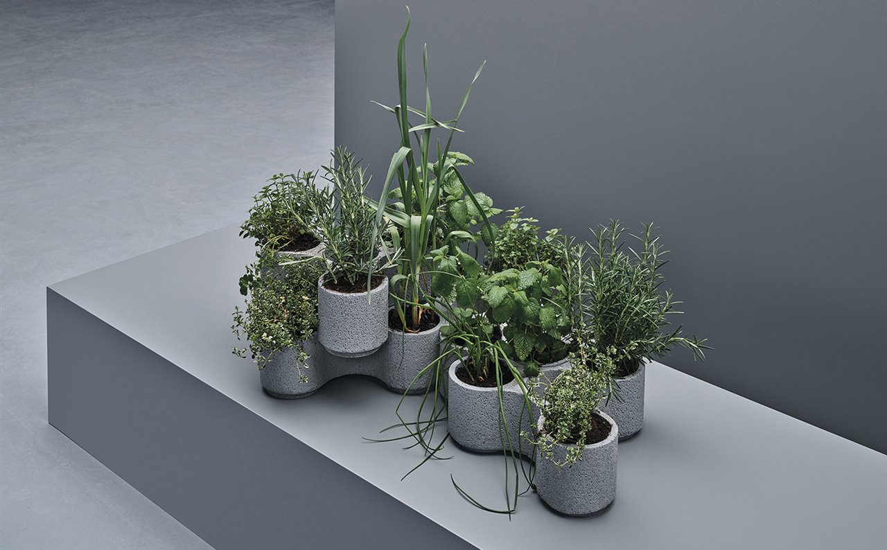 Prototipo de maceteros para plantas aromáticas