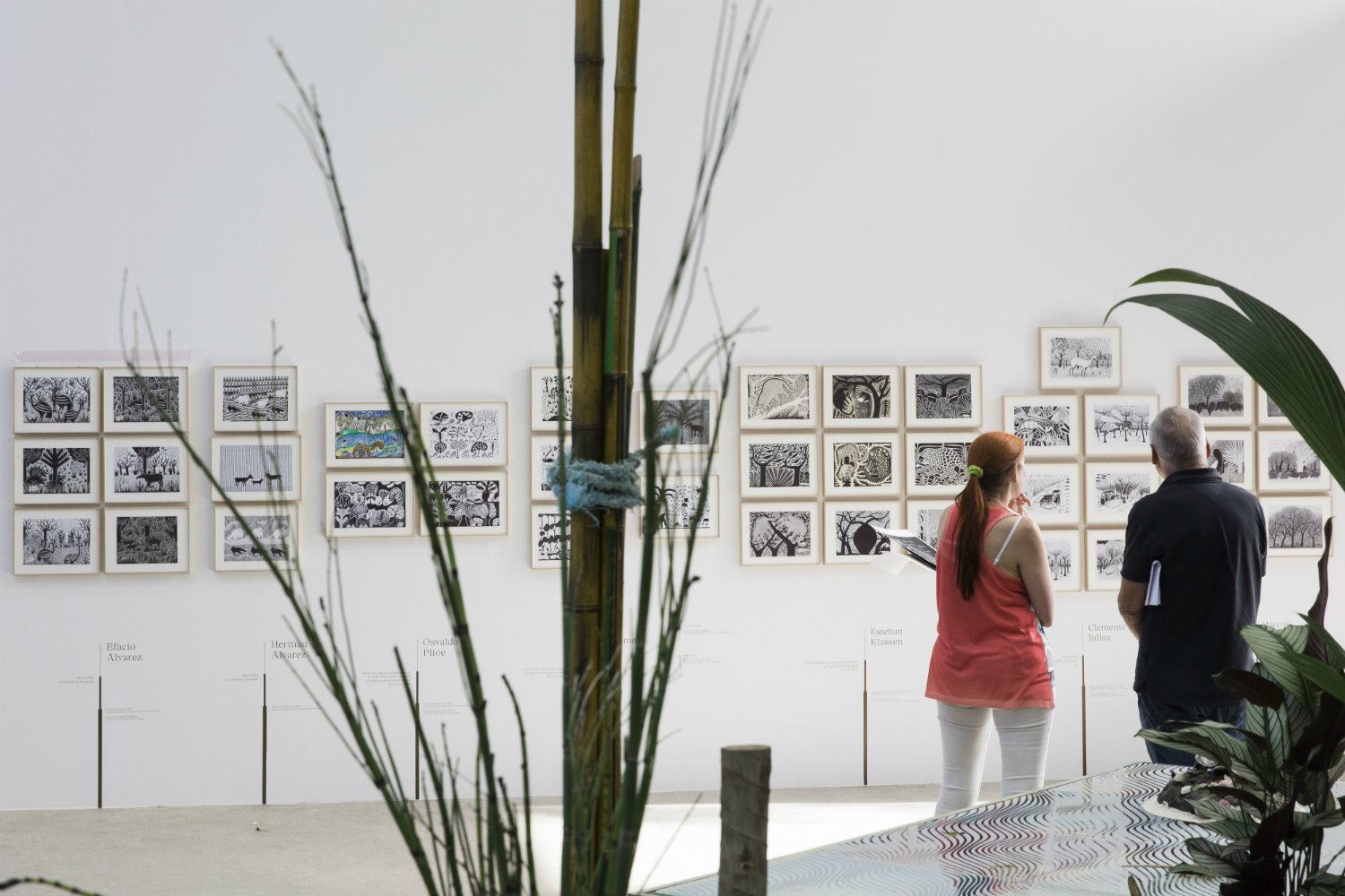 Exposición Árboles en la Foundation Cartier