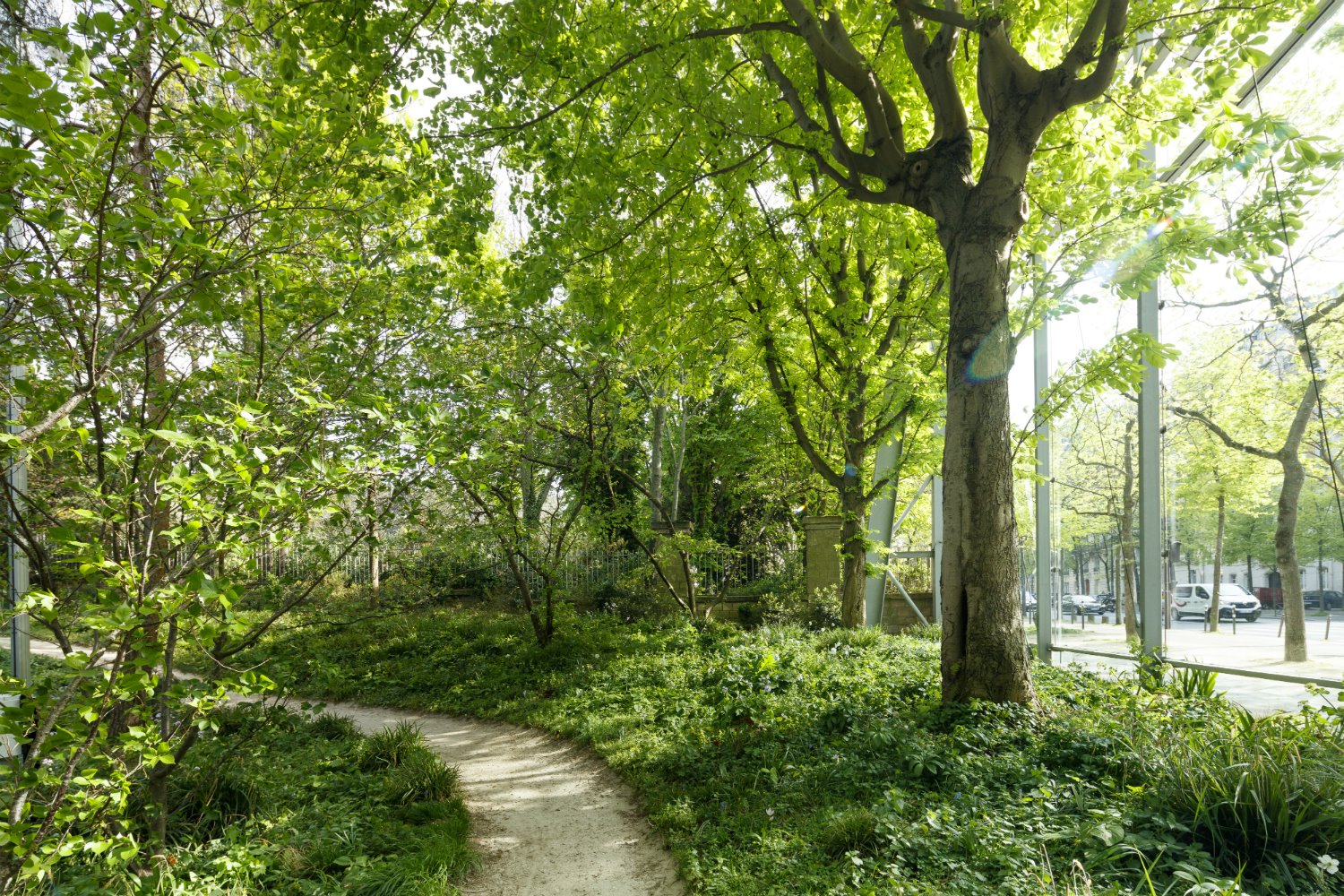 Jardin de la Foundation Cartier