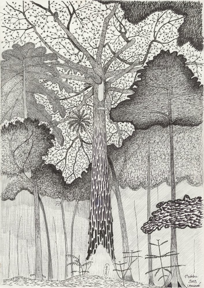 Moabi Baillonella toxisperma de Francis Hallé (2012)