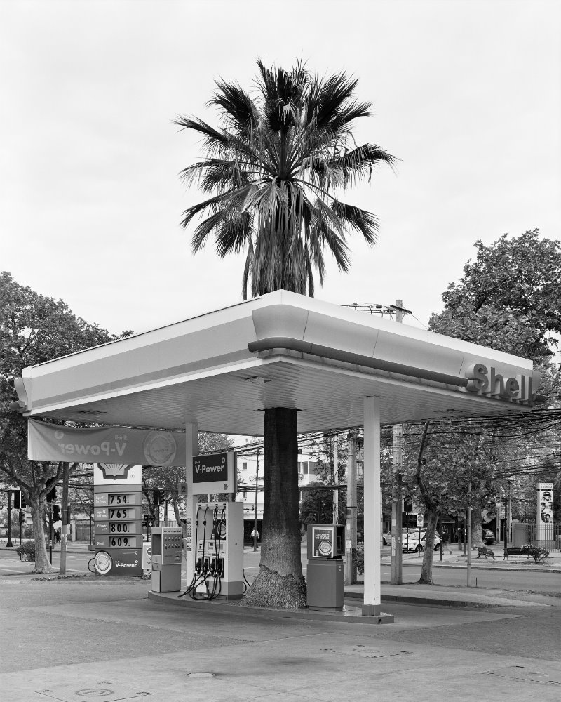 Série Quasi Oasis 17 en Avenida Simón Bolívar de Santiago de Chile de Sebastián Mejía (2012)