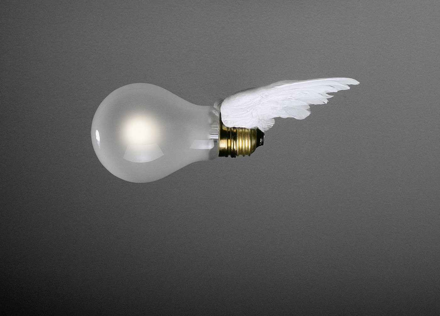 Bombilla Birdie Spare lampara con Alas de Ingo Maurer