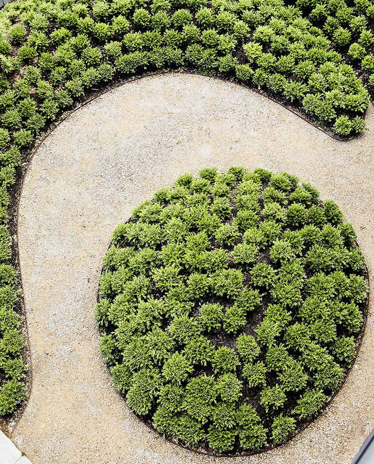 Jardín exterior con motivos geométricos
