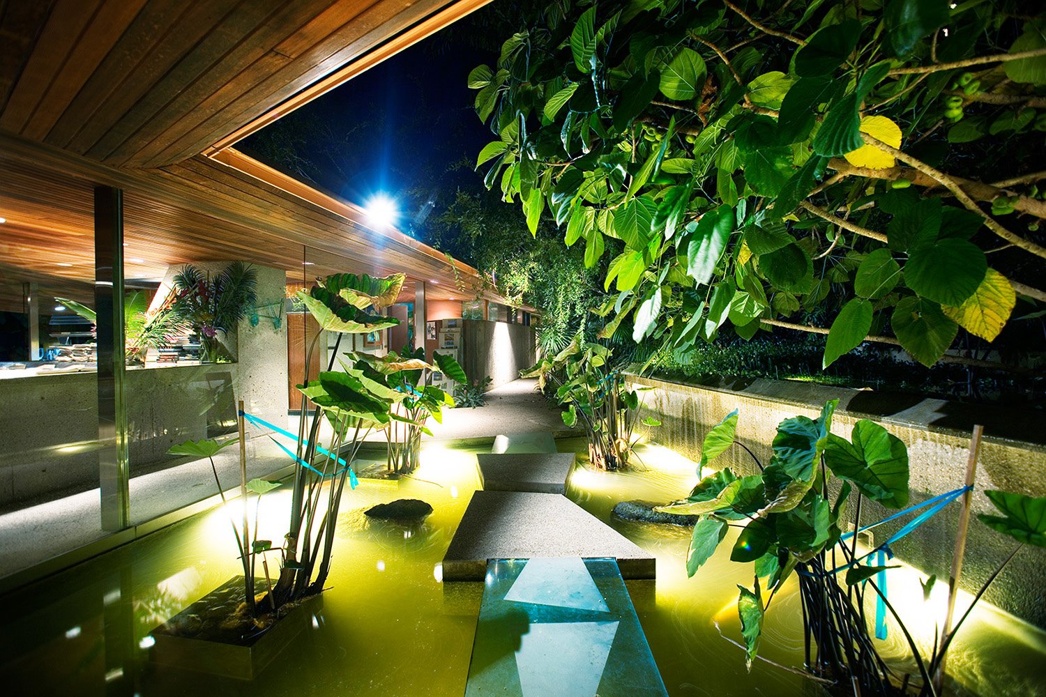 sheats goldstein house jardín