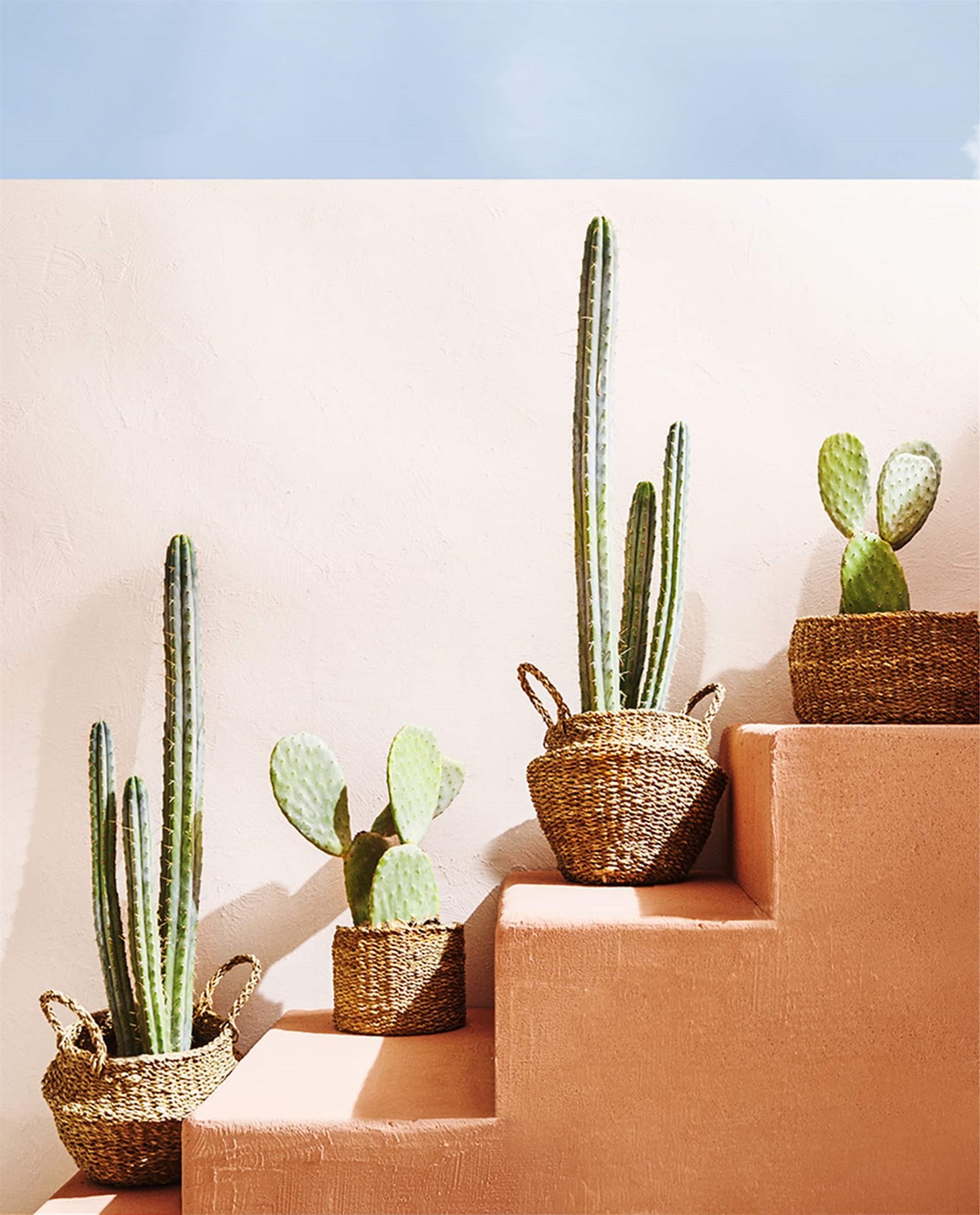 Cestas de Zara Home