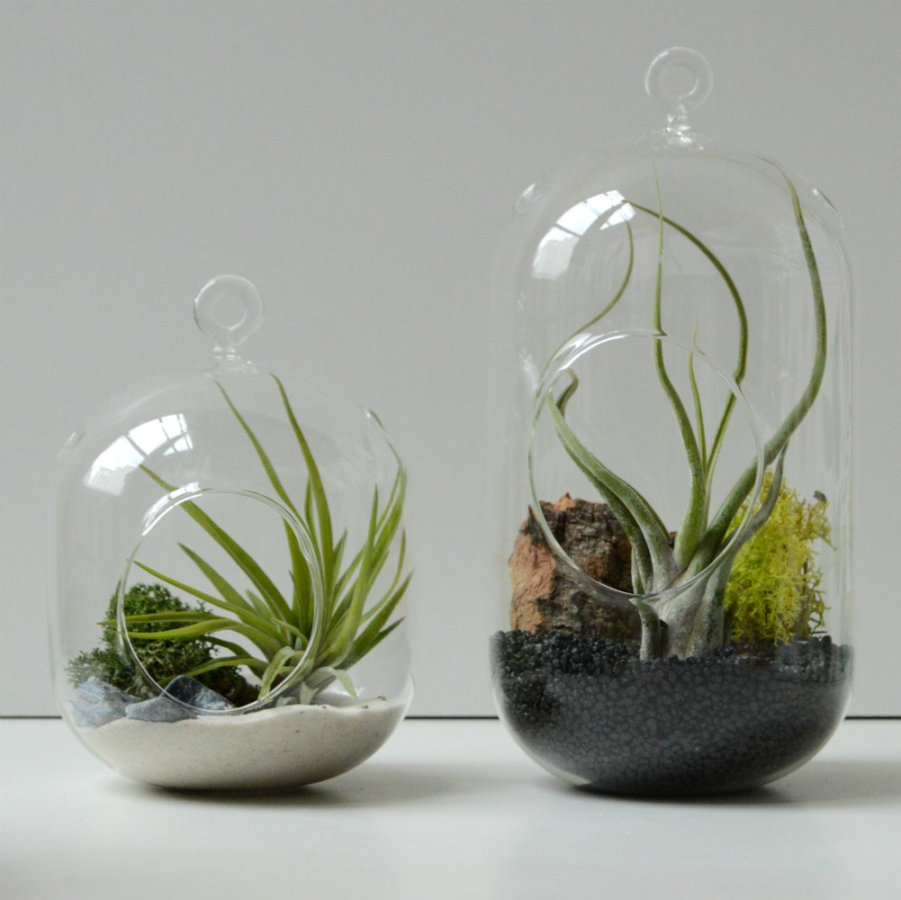 Plantasdeaire Festivalet