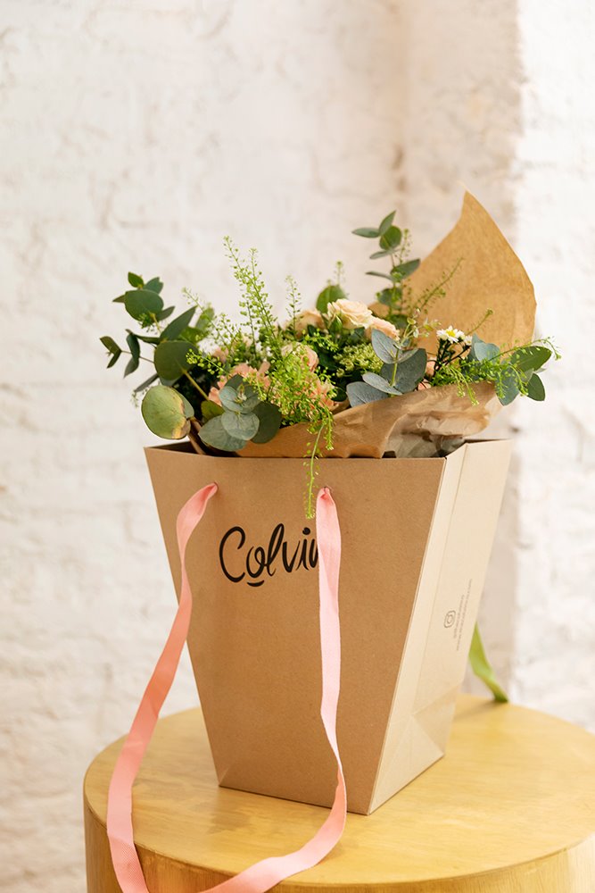Colvin-ramo