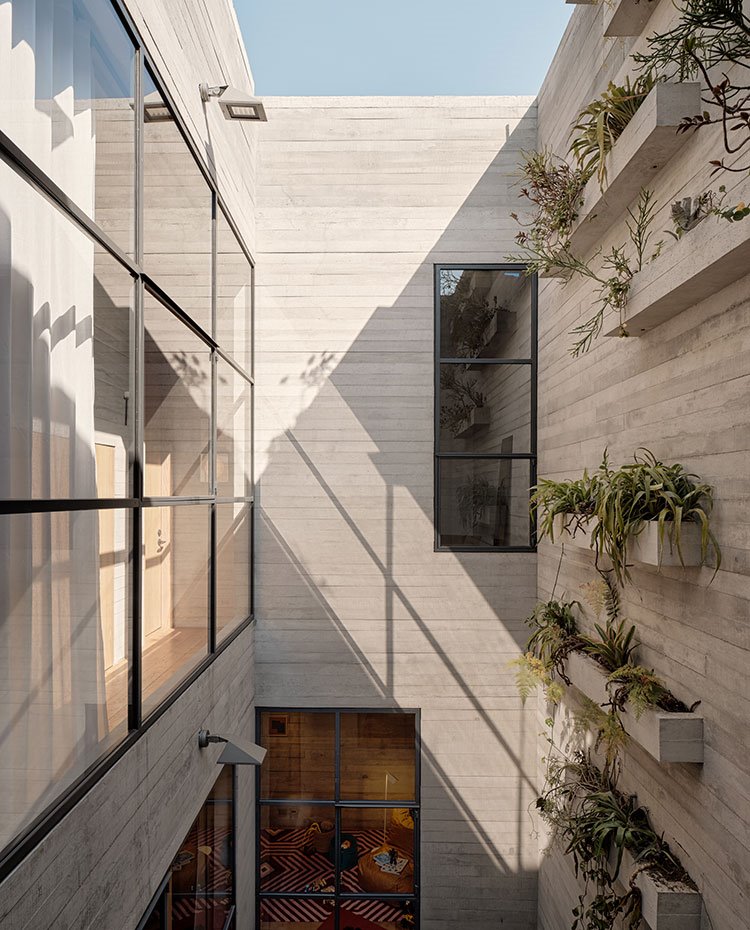 Detalle patio exterior con jardineras en la estructura y cerramientos de cristal 