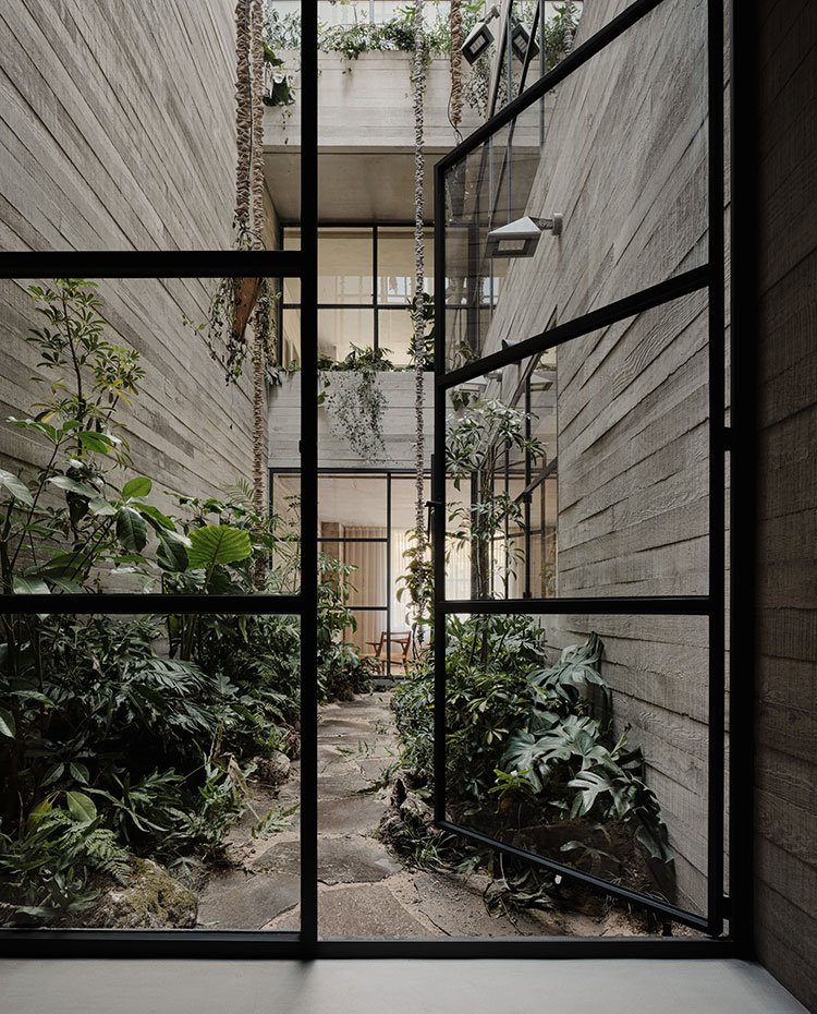 Patio interior con zona de paso delimitado por camino de piedras y vegetación a ambos lados, cerramientos de cristal transparente con perfilería en negro