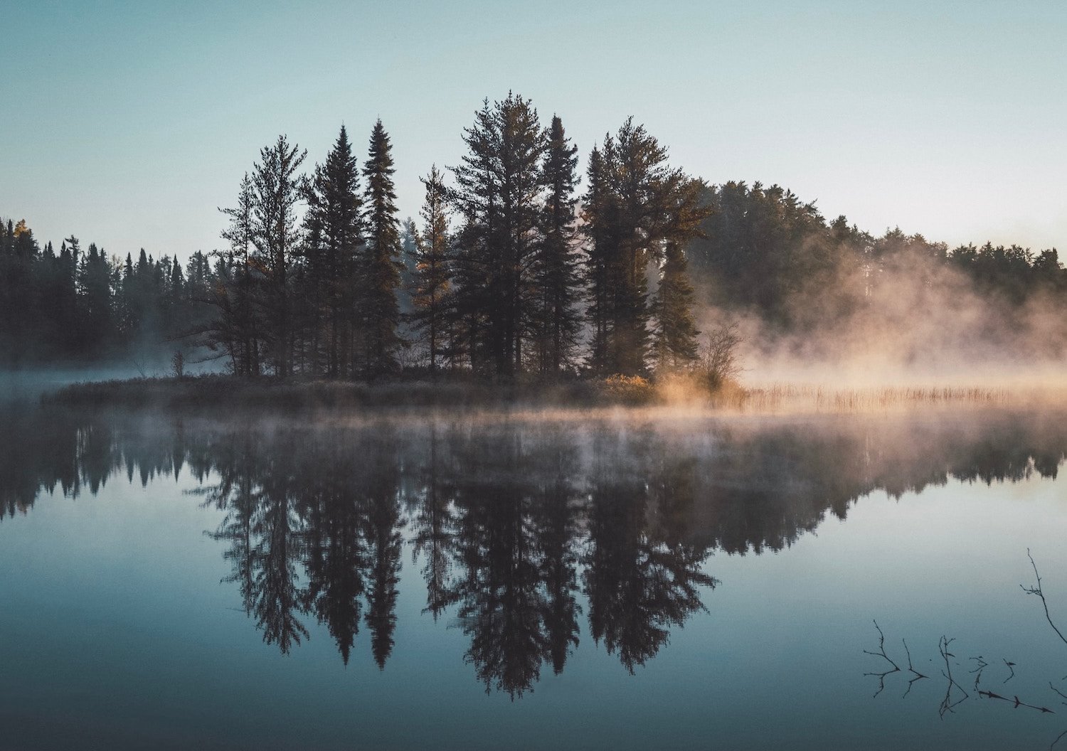 Bosque junto a un lago