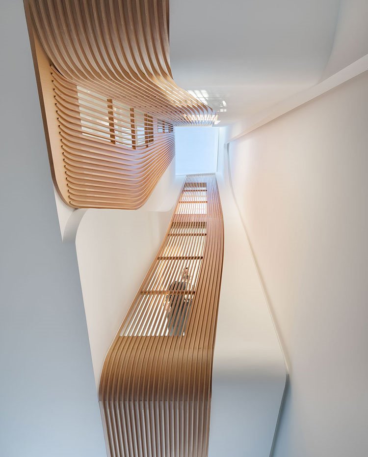 Estructura orgánica, formas curvilíneas, detalle de madera hacia tragaluz