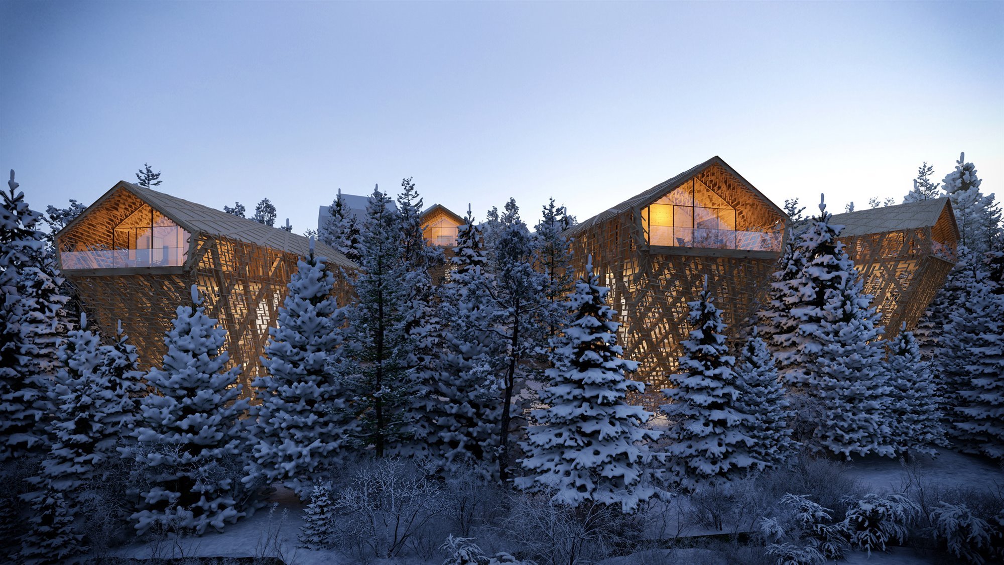 tree-suites-peter-pichler-complejo