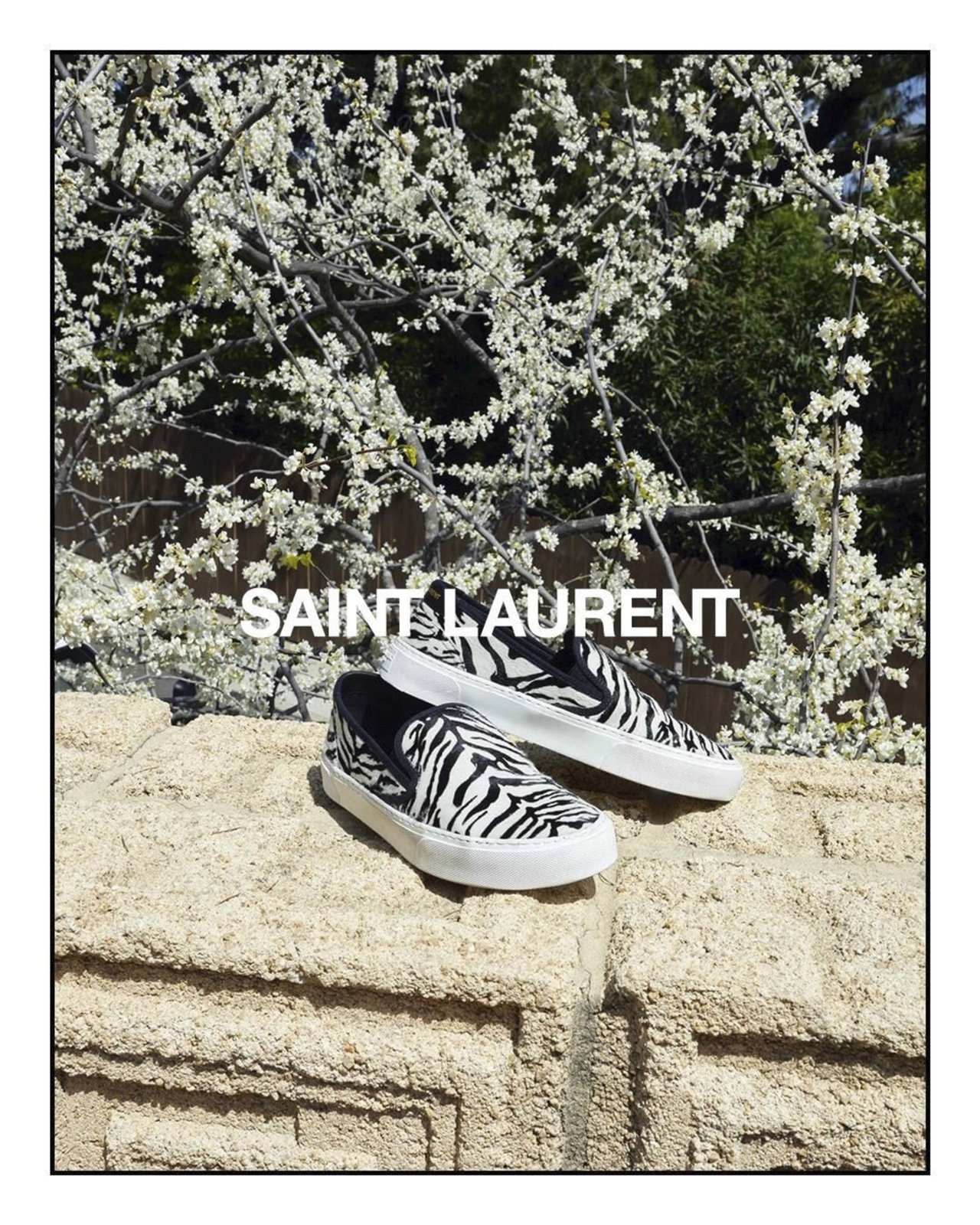 Zapatillas de Saint Laurent by Anthony Vaccarello: Winter 19 Collection