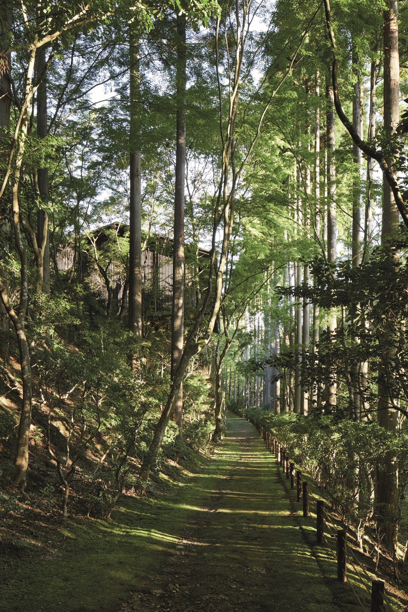 Garden path running under Washigamine Suite Original