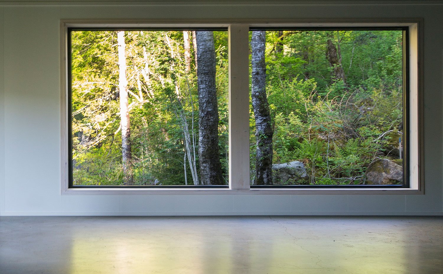 Grandes aperturas en fachada con cerramiento de cristal y vistas a bosque exterior