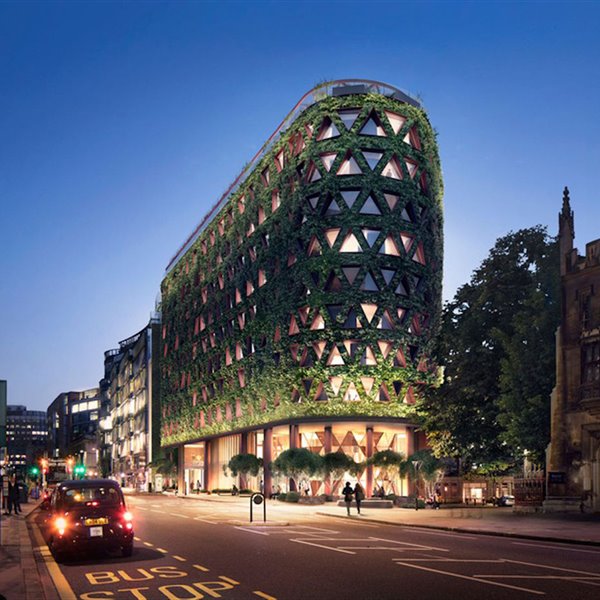 Un hotel de Londres en el que, además de alojarte, ayudarás al planeta