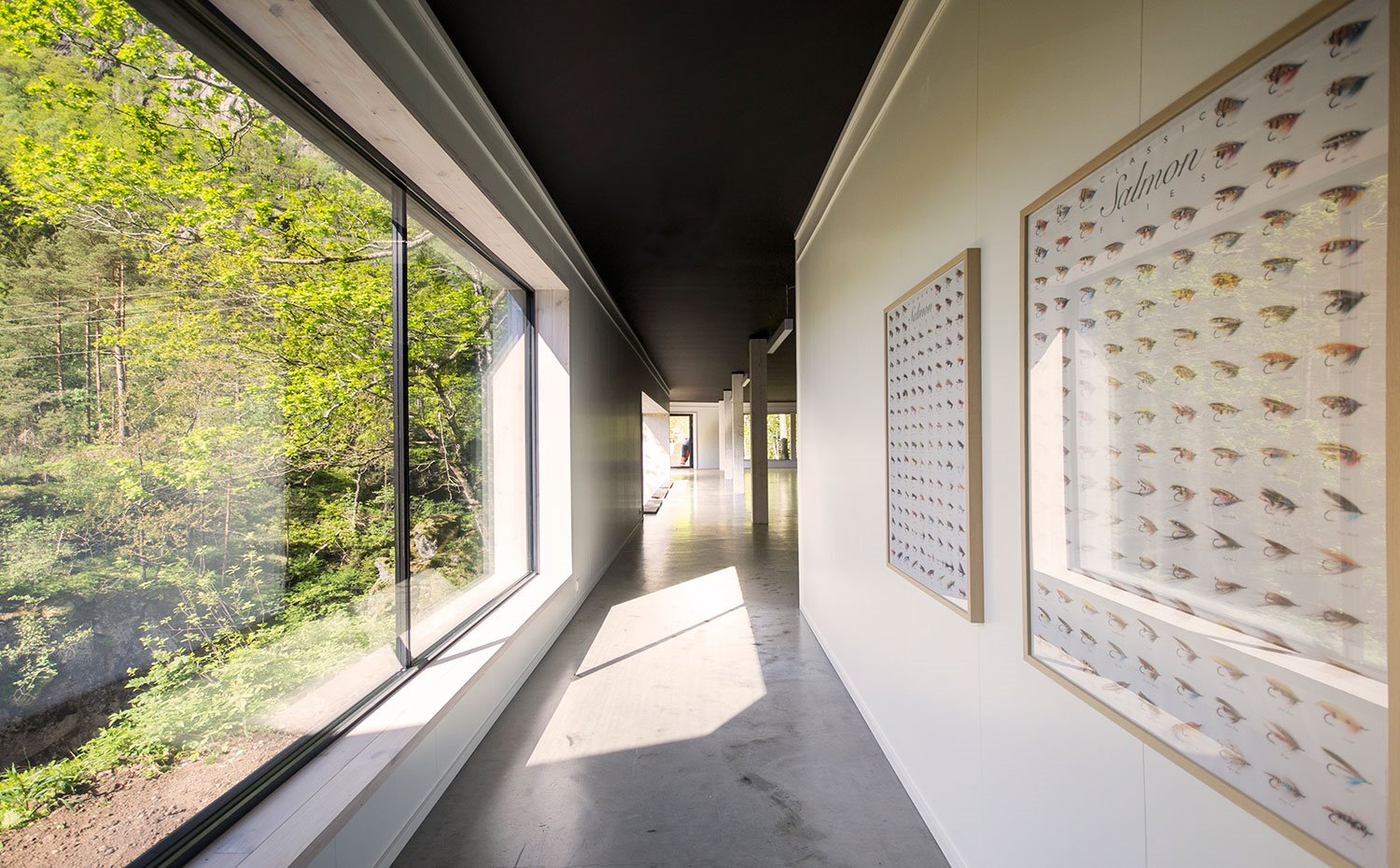 Zona de paso hacia espacio diáfano, con suelo de hormigón pulido y ventanas apaisadas hacia exterior