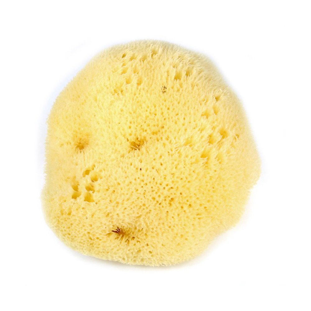 Productos de cosmetica natural zero waste esponja natural