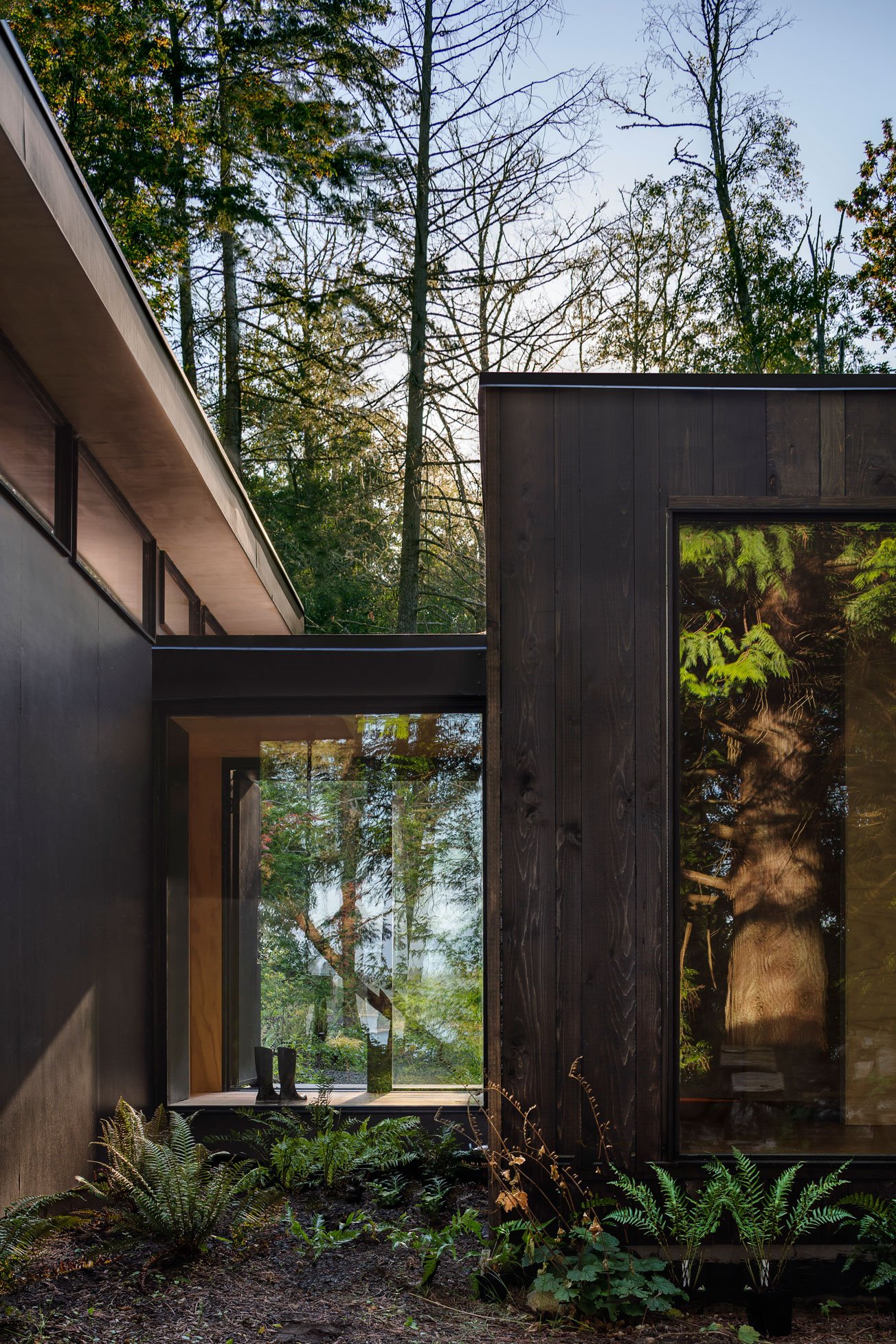 Wittman-Estes Pogue Hood-Cliff 006
