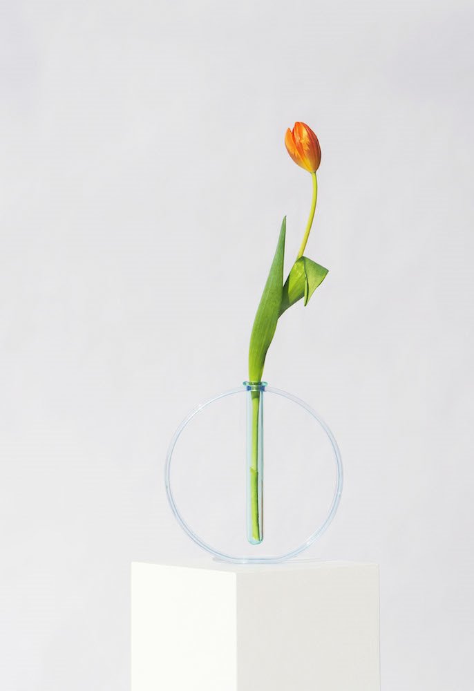 jarron de diseno Gaia de Valeria Vasi 2