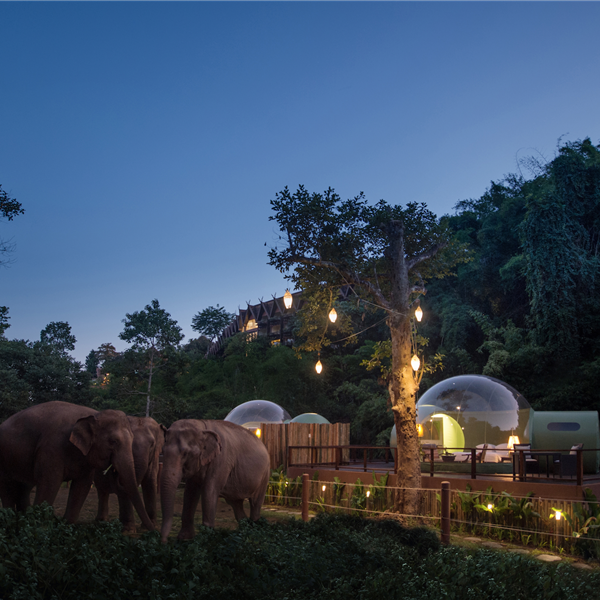 Una burbuja, el mejor refugio para dormir y ver elefantes