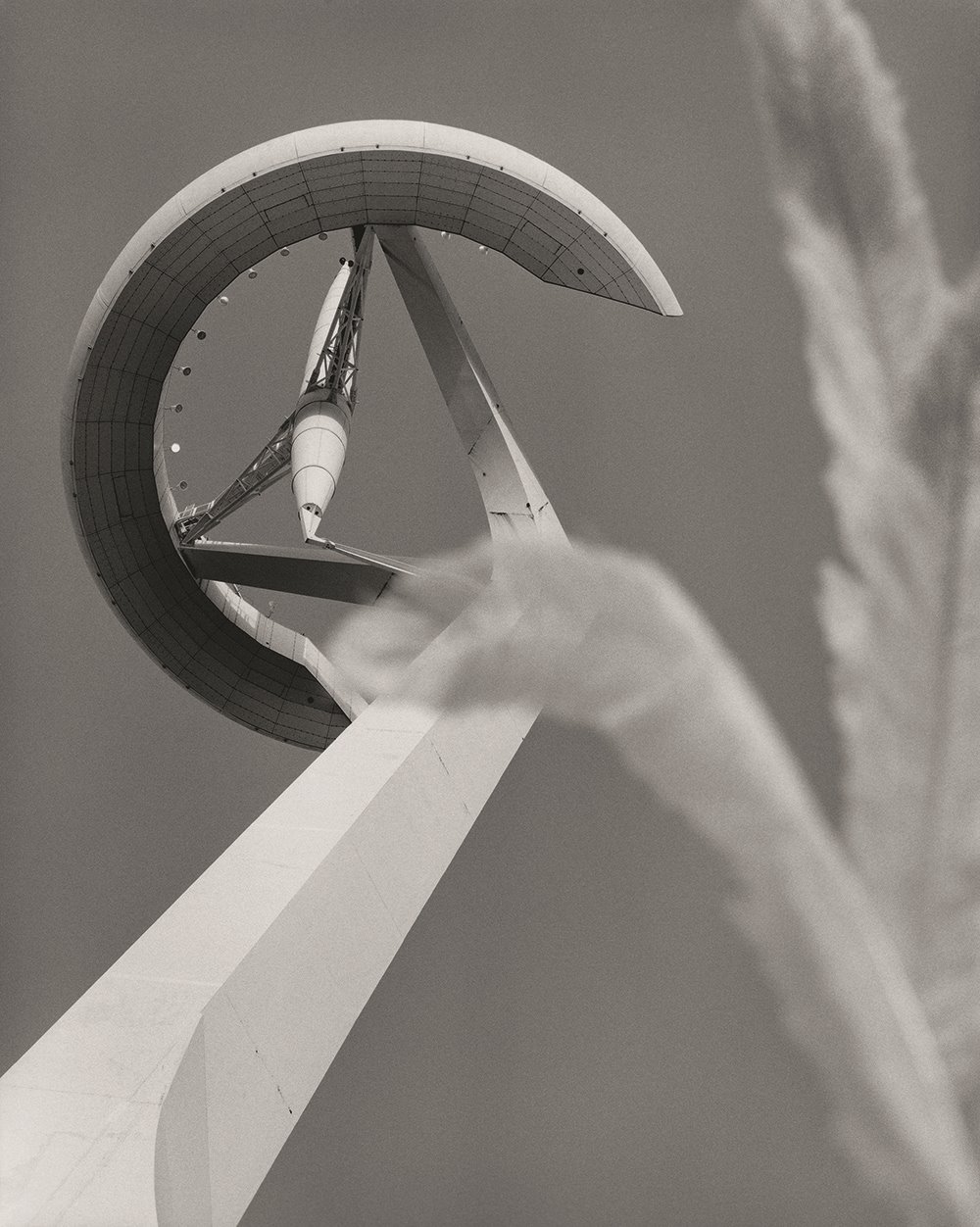 Loewe BW2