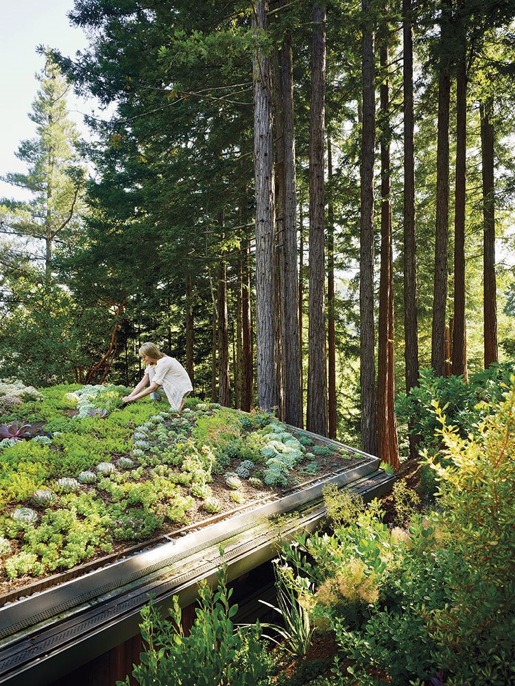 mill-valley-cabins-feldman-architecture-residential-california-usa dezeen jardines-de-invierno