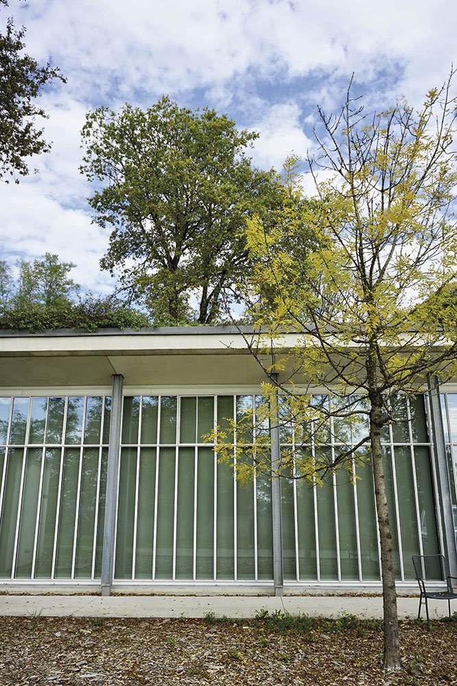 Ronchamp Le Corbusier 14 