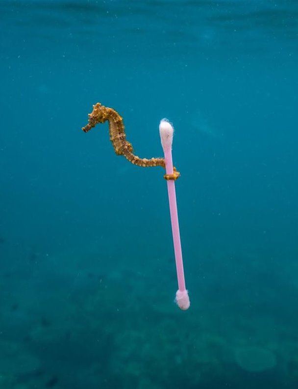 Deshacer el desastre: océanos libres de plásticos