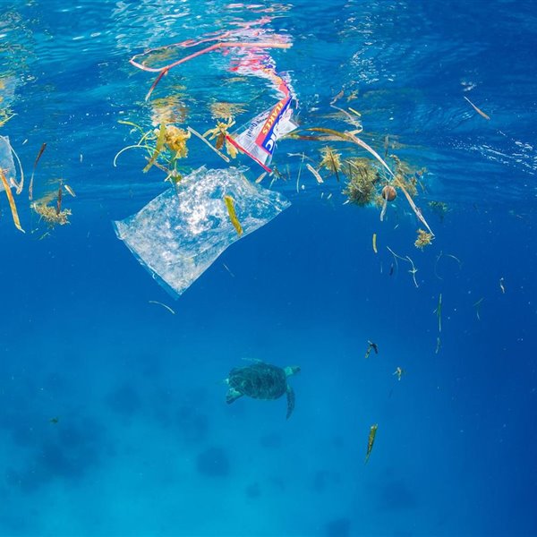 Deshacer el desastre: océanos libres de plásticos