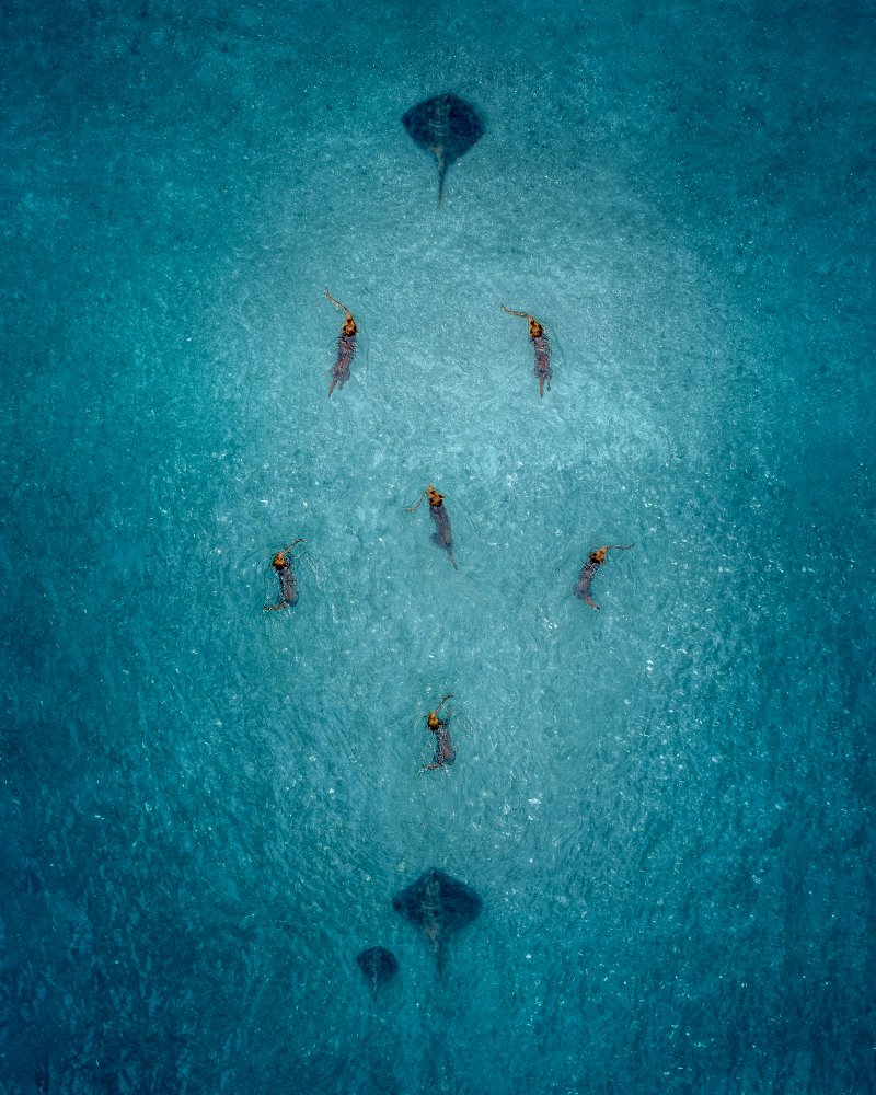 Petra Leary