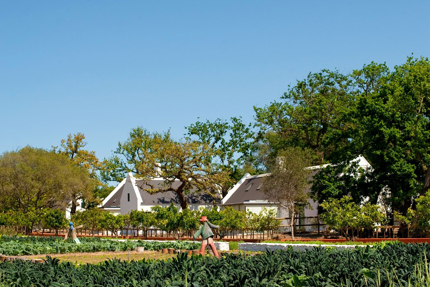 Babylonstoren en Sudáfrica favorito de John Pawson