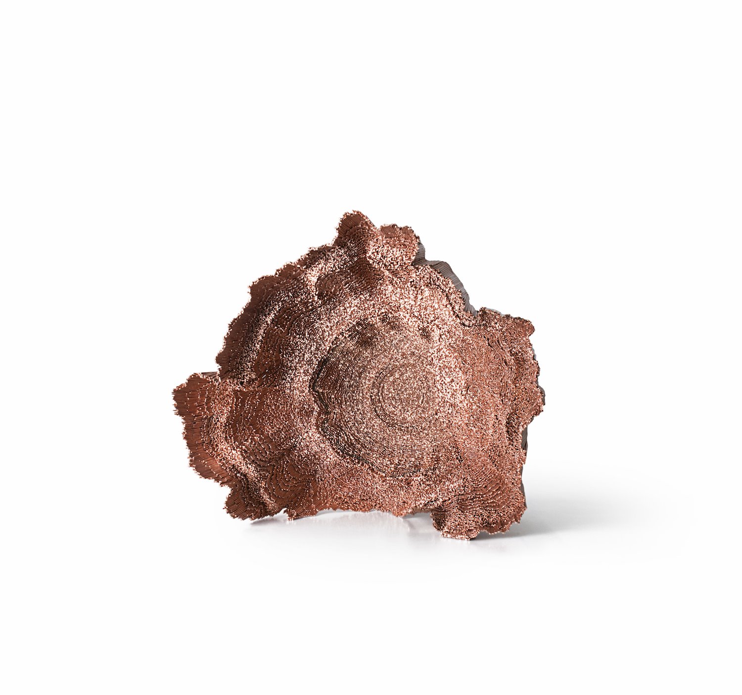 David Corvalán (2) Hi. David Corvalán, Chile ‘Desértico II’, alambre de cobre y resina de epoxi. 2019