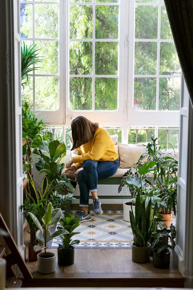 cuidar de las plantas en invierno Plantas by Colvin  (12)