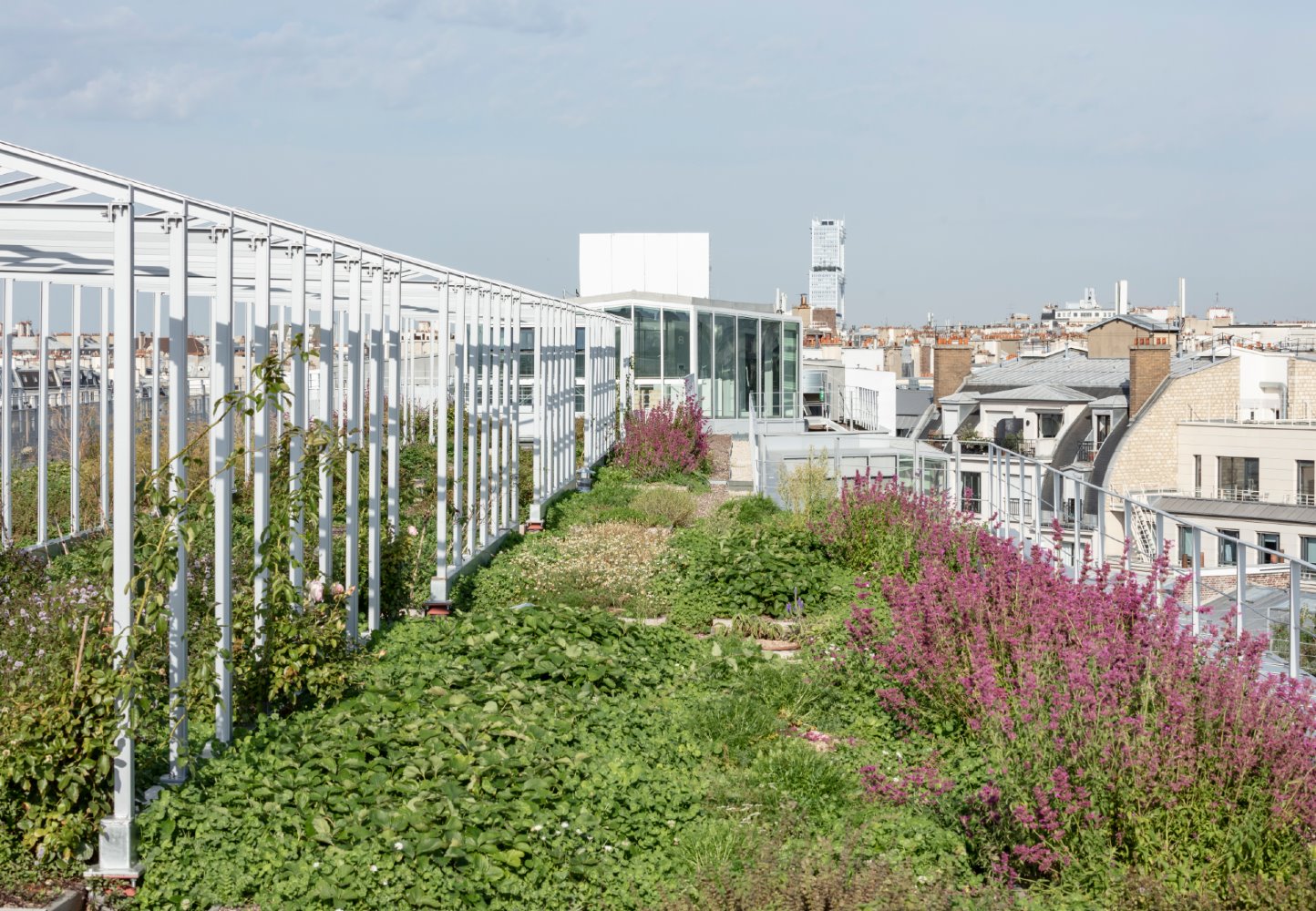 Grand Central Saint-Lazare de Ferrier Marchetti Studio 